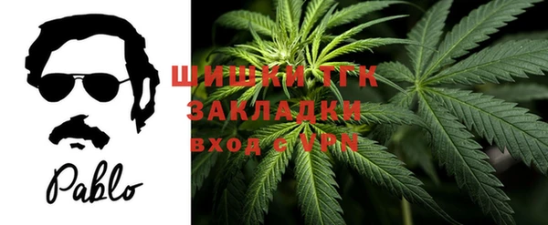 мяу мяу мука Покачи