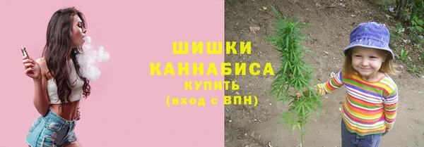 мяу мяу мука Покачи