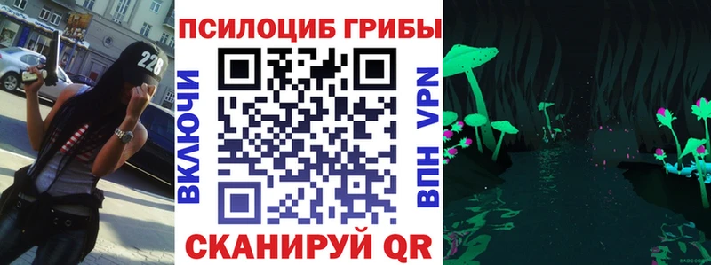 Галлюциногенные грибы Psilocybe  продажа наркотиков  Соликамск 