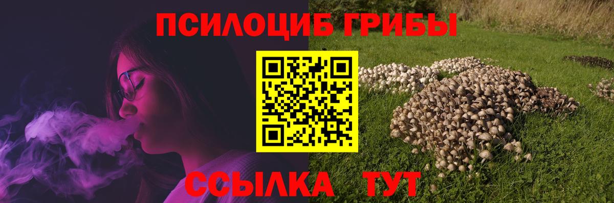 Галлюциногенные грибы прущие грибы  Псилоцибиновые грибы мухоморы  Соликамск 