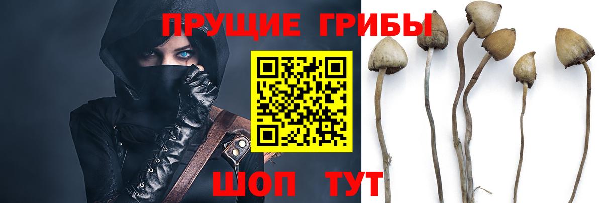 Галлюциногенные грибы мухоморы  Вход с VPN  Соликамск 